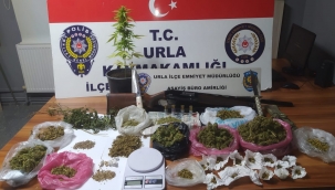 Evinde saksıda uyuşturucu yetiştirmiş 