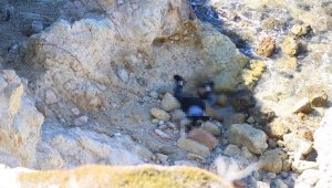 Foça'da koyda 10 gün arayla bir ceset daha bulundu