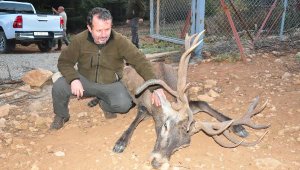 "Geyiğe 'şimdi git yarın gel dedim' kayboldu"
