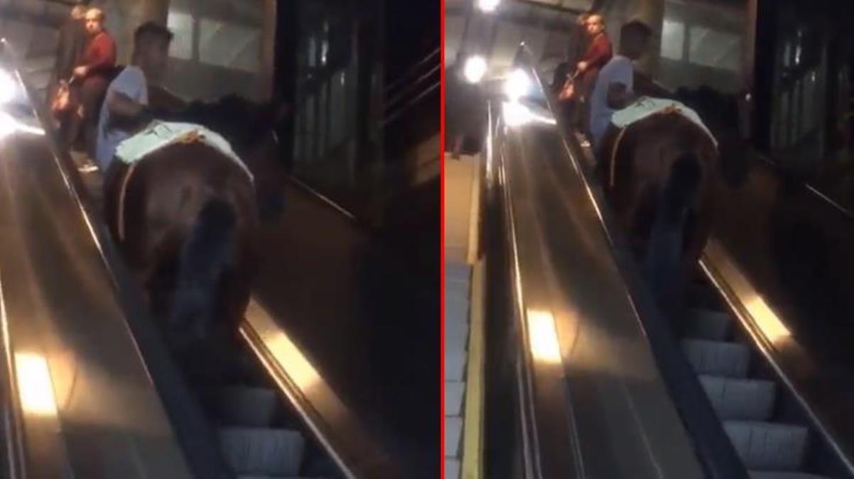 İzmir'de metro yürüyen merdiveninde at!