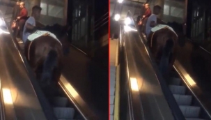 İzmir'de metro yürüyen merdiveninde at!