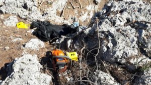 Kestiği ağacın altında kalarak hayatını kaybetti