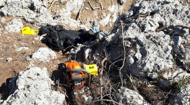 Kestiği ağacın altında kalarak hayatını kaybetti