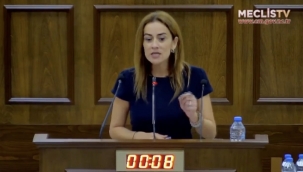 Kuzey Kıbrıs'lı milletvekili Türkiye ve Erdoğan'ı hedef aldı