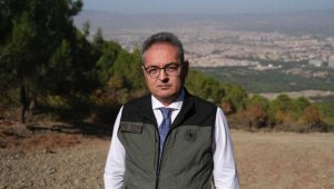 Manisa'da 19 yıl önce yanan orman dikimlerle yeniden yeşillendi