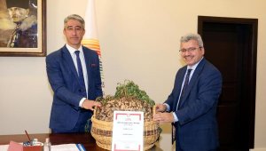 Marmaris'in yer fıstığı coğrafi işaret aldı! Üretim artırılacak