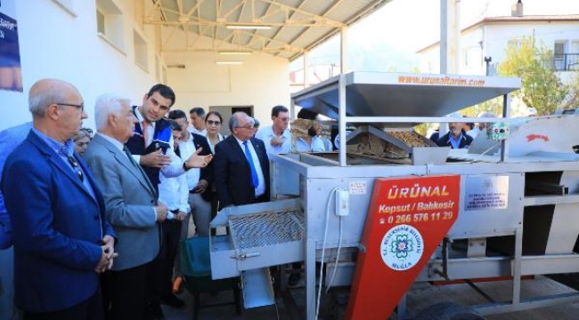 Muğla'da Datça bademi ve zeytincilik için iş birliği kararı alındı