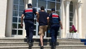 Muğla'da 'huzur ve güven' uygulamasında 12 tutuklama