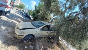 Otomobil zeytin ağacına çarptı, genç sürücü öldü