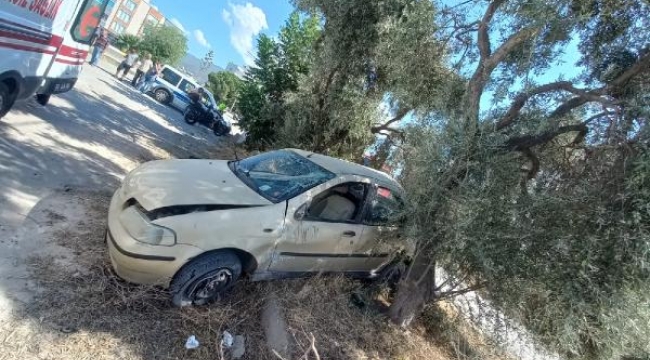 Otomobil zeytin ağacına çarptı, genç sürücü öldü