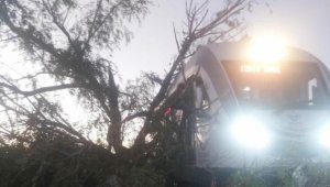 Rayların kenarındaki ağaç, trenin üzerine devrildi