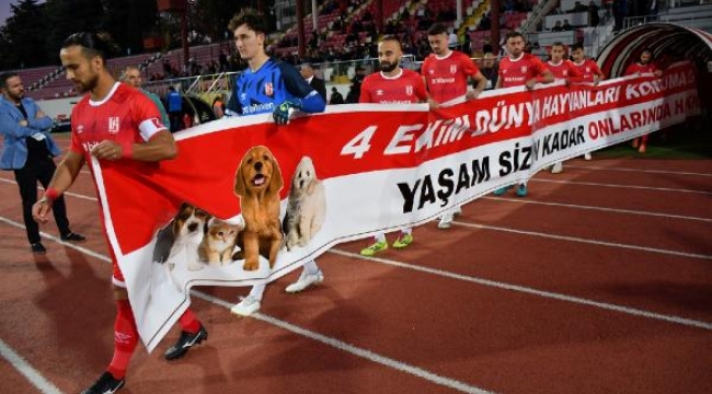 Sokak hayvanları için Balıkesirspor'dan anlamlı pankart