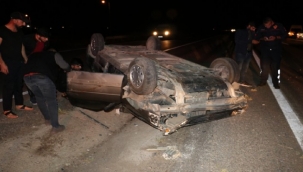 Yola fırlayan domuzlar otomobili devirdi