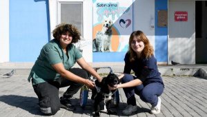 Yürüteçle hayata tutundu, yeni yuva bekliyor