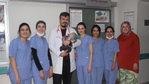 710 gram doğan Arden bebek, hayata tutundu