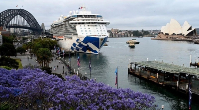 800 yolcusunda korona virüs testi pozitif çıkan gemi limana demirledi