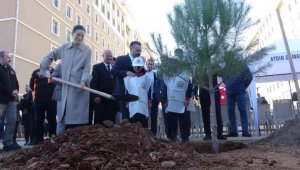 Aydın'da 109 bin fidan toprakla buluştu