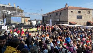 Ayvacık Ahmetçe Köyü Zeytin Hasat Şenliği'nde renkli görüntüler