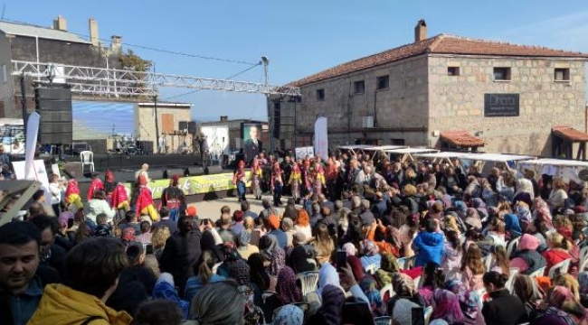 Ayvacık Ahmetçe Köyü Zeytin Hasat Şenliği'nde renkli görüntüler