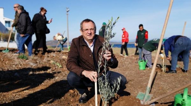 Ayvalık Belediyesi öncülüğünde Dünya Zeytin Ağacı Günü kutlandı