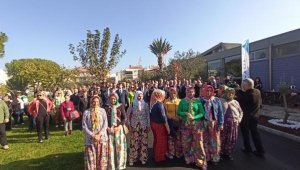 Ayvalık Zeytin Hasat Festivali'yle şenlendi