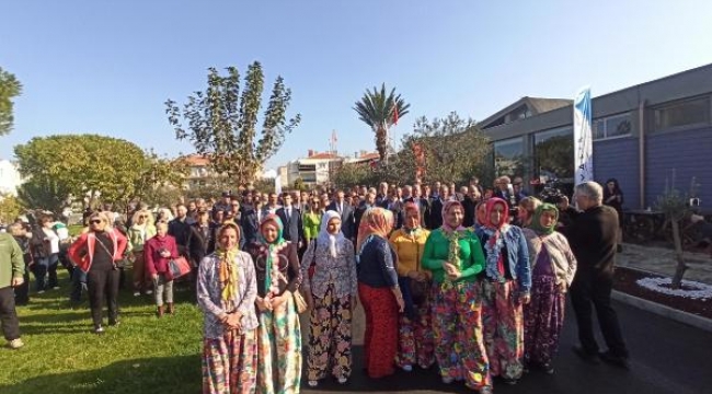 Ayvalık Zeytin Hasat Festivali'yle şenlendi