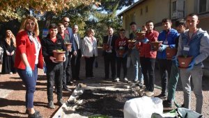 Bitki ve toprakla terapi