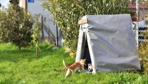 Bornova Belediyesi'nin ürettiği kulübeler sokaklara yerleştiriliyor