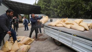 Buca Belediyesi, ilçedeki 60 besiciye yemlik arpa dağıttı