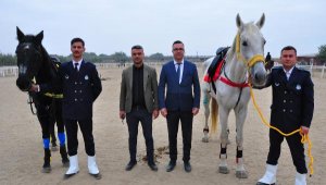 Cumhurbaşkanlığı Muhafız Alayı'nın 4 atı, Manisa zabıtasında görev yapacak