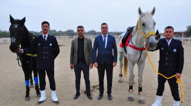 Cumhurbaşkanlığı Muhafız Alayı'nın 4 atı, Manisa zabıtasında görev yapacak