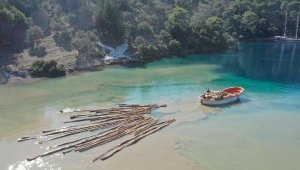 Denizden tomruk nakliyatı