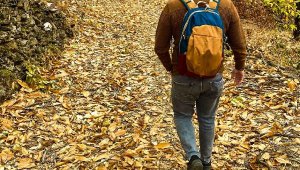 Eğrikavak Yaylası'nda sonbahar renkleri  