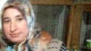 Eşinin kestiği ağaç dalının altında can verdi