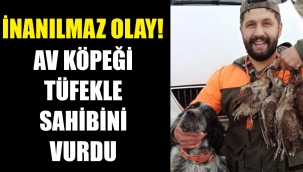 İlginç olay! Köpek tüfekle sahibini öldürdü