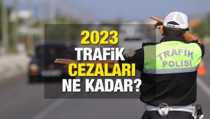 İşte yeni trafik cezaları! Kurala uymayan yandı