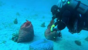 Kaçak avcılar 2.5 ton kum midyesi ile yakalandı 