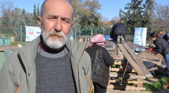 Konya'da barınakta yaşanan vahşete Datça'dan tepki verildi