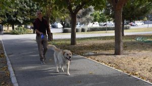 Köpek gezdiriyorlar, öğrencilere yemek pişiriyorlar, tadilat yapıyorlar