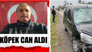 Köpek saldırısı bir can daha aldı