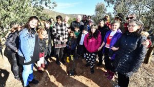 Köstem Zeytinyağı Müzesi'nde ilk çocuk festivali yapıldı