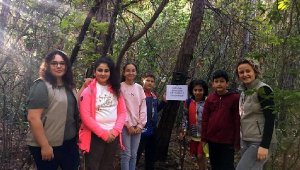 Marmaris'te yanan ormanlarda fotokapanla yaban hayatının izindeler