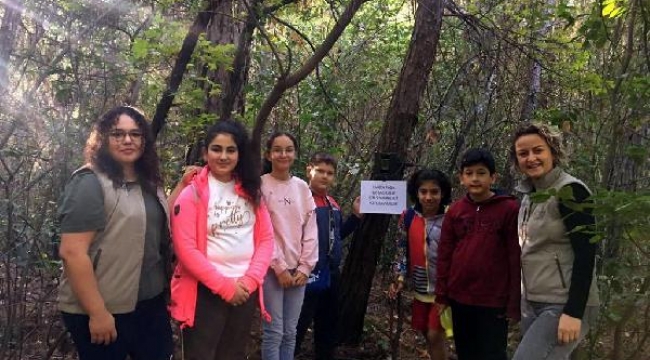 Marmaris'te yanan ormanlarda fotokapanla yaban hayatının izindeler