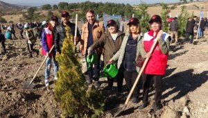 'Milli Ağaçlandırma Günü'nde Çanakkale'de 23 bin fidan toprakla buluşturuldu
