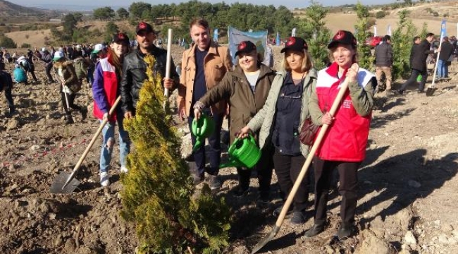 'Milli Ağaçlandırma Günü'nde Çanakkale'de 23 bin fidan toprakla buluşturuldu