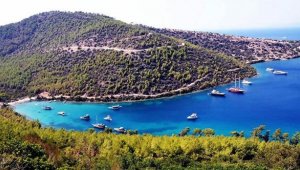 Muğla Büyükşehir Belediyesi'nin çevre dava sayısı 135'e çıktı