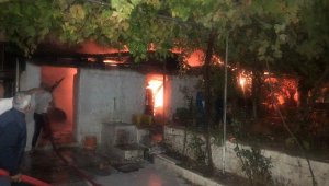 Muğla'da ahır yangını; 3 küçükbaş öldü