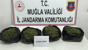 Muğla'da uyuşturucu operasyonu: 2 gözaltı