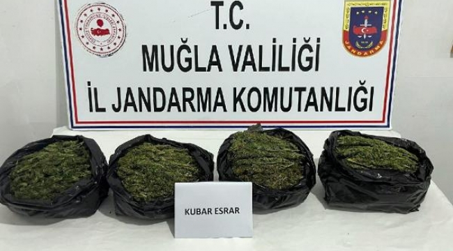 Muğla'da uyuşturucu operasyonu: 2 gözaltı