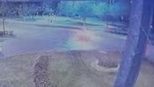 Otomobilin taklalar attığı kaza anı kamerada